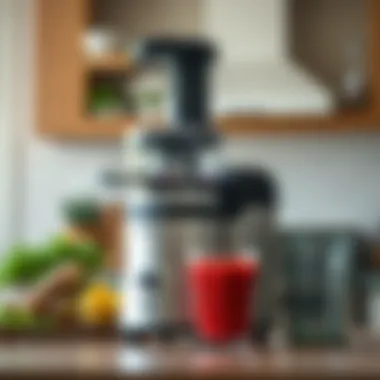 Magnificent A Comprehensive Guide to the Hamilton Beach Centrifugal Juicer