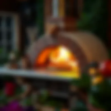 Magnificent Exploring Optimal Outdoor Pizza Ovens Magnificent Exploring Optimal Outdoor Pizza Ovens