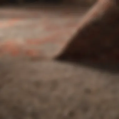 Choosing the right carpet material