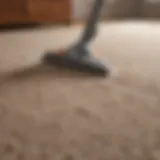 Essential tools for carpet installation