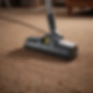 Maintenance tips for carpet longevity