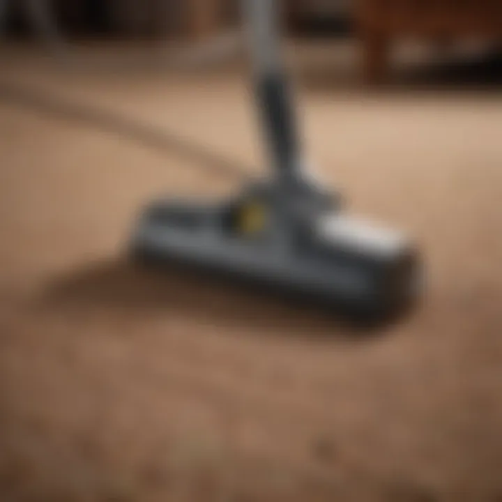 Maintenance tips for carpet longevity