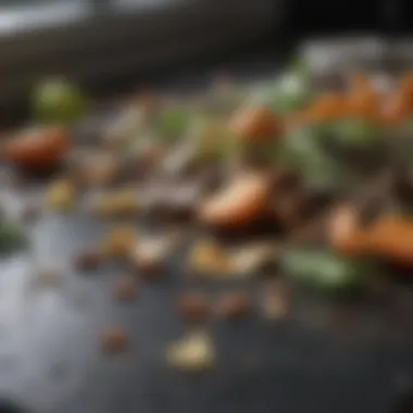 A close-up of decomposing kitchen scraps