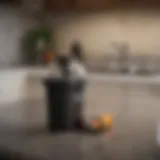 Common garbage disposal issues
