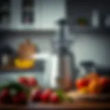 A Comprehensive Guide to the Hamilton Beach Centrifugal Juicer Introduction