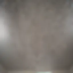 Close-up view of water stains on a ceiling indicating water intrusion