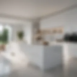Sleek all-white kitchen featuring modern cabinetry and minimalist design