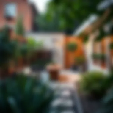 Transformation of Outdoor Space Before and after transformation of a small outdoor space