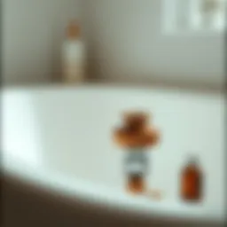 Essential tools for bathtub drain removal