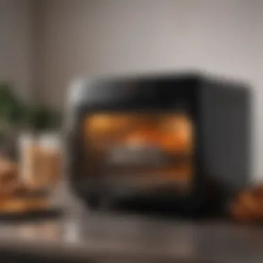 An infographic comparing features of leading air fryer oven models