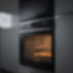 Modern oven showcasing sleek design and advanced features