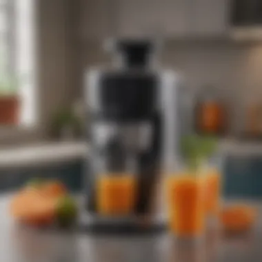 A compact juicer on a kitchen counter