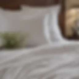 Luxurious bedding arrangement showcasing Boll and Branch sheets