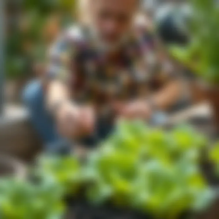 A gardener checking the moisture levels of the soil
