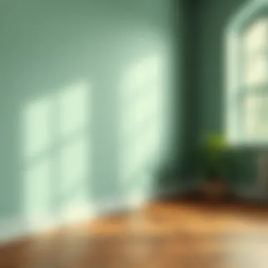 A well-maintained painted surface showing durability