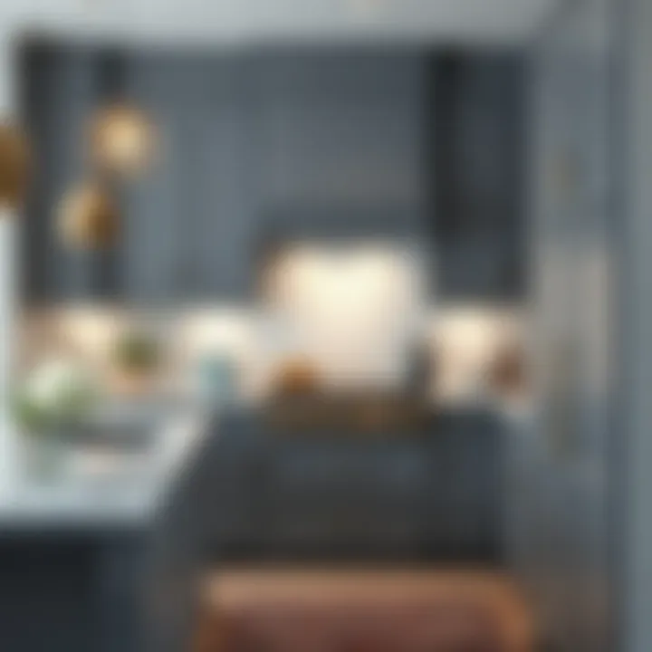 Sophisticated shades of gray cabinets