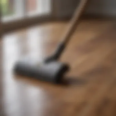 Selection of cleaning tools for hardwood floors