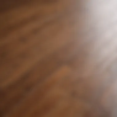 Close-up view of a gleaming wooden floor showcasing its natural grain and finish