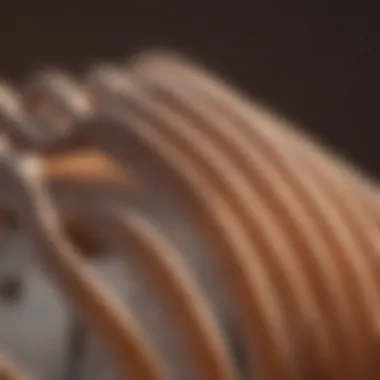 Detailed View of Ceramic Heating Element Close-up of ceramic heating element