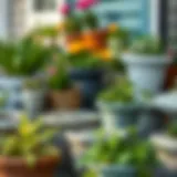 Assorted containers for gardening showcasing various styles and materials