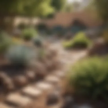 Xeriscaping for Water Conservation A beautifully xeriscaped garden that conserves water