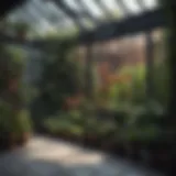 A beautifully designed small hothouse showcasing various plants