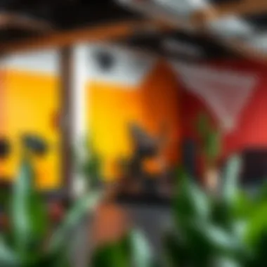 Color palette inspiration for an energizing workout environment