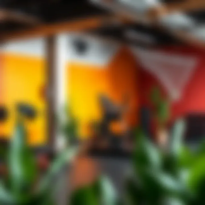 Color palette inspiration for an energizing workout environment