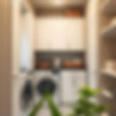 Efficient laundry room layout featuring custom cabinetry