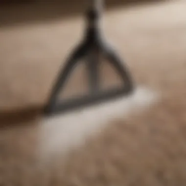 Close-up of a spot cleaning solution being applied to a stained rug