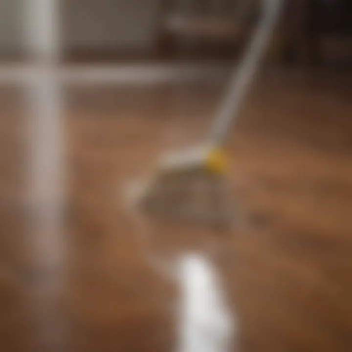 Demonstration of effective cleaning technique on hardwood