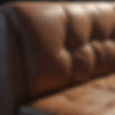 Visual guide to maintaining upholstery for a longer lifespan Couch maintenance tips visually represented