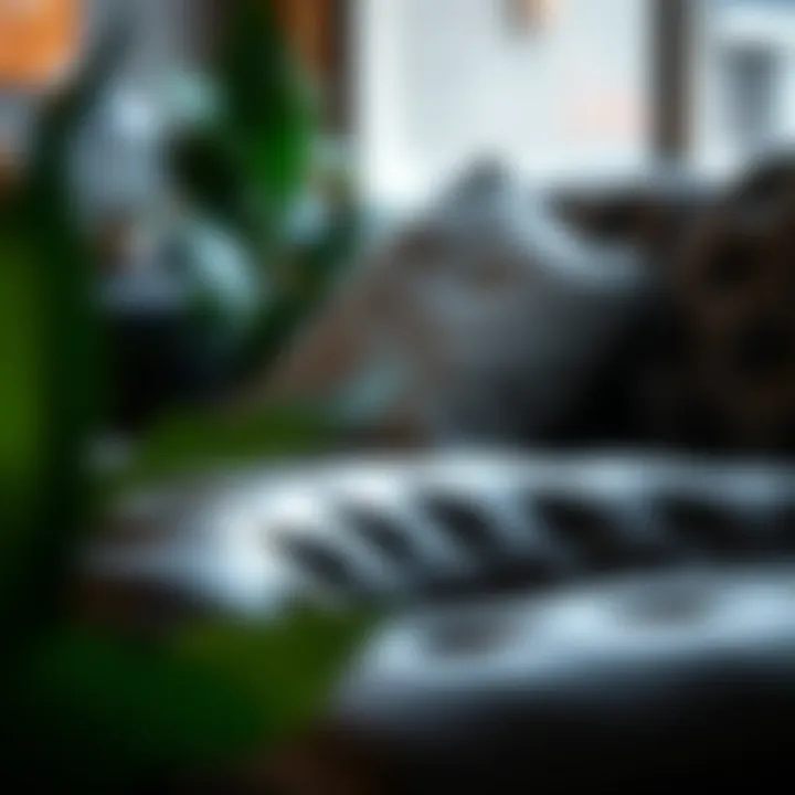 Professional leather cleaning