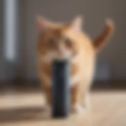 Lint roller used on clothing to remove cat hair