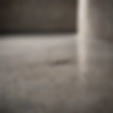 Various cleaning solutions for concrete stain removal