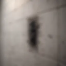 Close-up of black mold on bathroom tiles