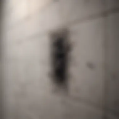 Identifying Black Mold in the Bathroom Close-up of black mold on bathroom tiles