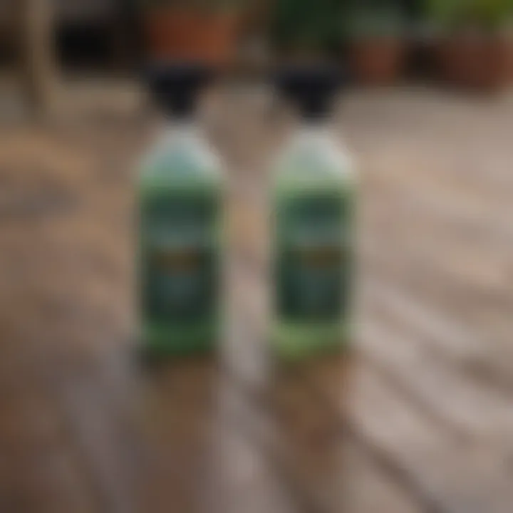 Different types of mold and mildew removers displayed