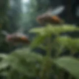 Common flies found on plants