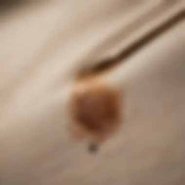 Coffee Stain on Fabric A close-up view of a coffee stain on a light-colored fabric