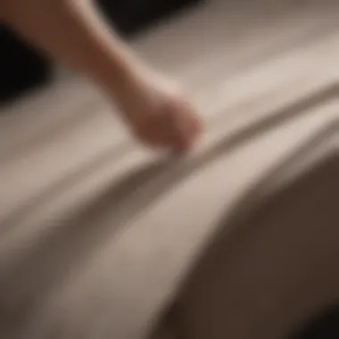 Applying Stain Remover to Fabric Clothing being treated with a stain remover solution