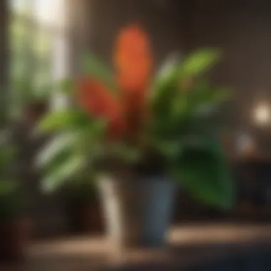 Vibrant Healthy Houseplant Healthy houseplant with vibrant green leaves