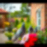 Effective Strategies to Deter Pigeons from Your Space Introduction