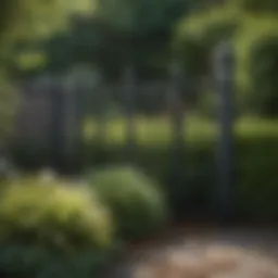 A serene garden with a well-maintained fence to deter skunks