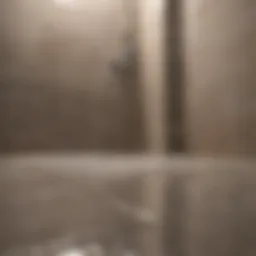 Close-up of sparkling clean shower tiles