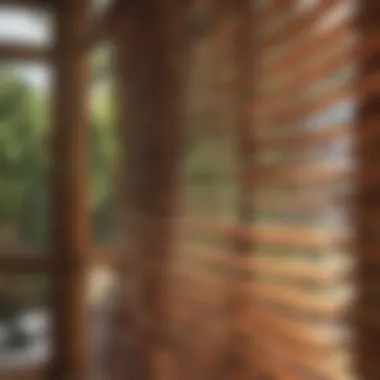 Effective Cleaning Method for Wooden Blinds Step-by-step cleaning of wooden blinds
