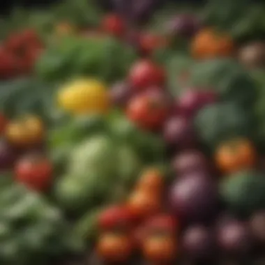 Close-up of nutrient-rich vegetables