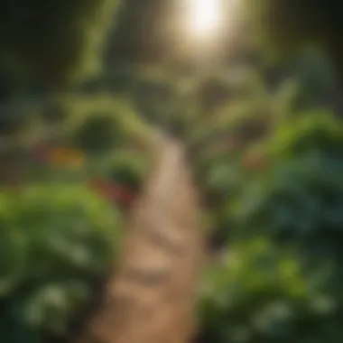 A Thriving Vegetable Garden in Full Sunlight Healthy vegetable garden thriving under sunlight