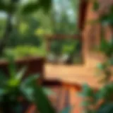 Charming Brown Deck in a Lush Environment A beautifully painted brown deck surrounded by greenery