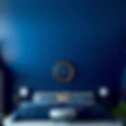 Luxurious bedroom ceiling painted in deep navy blue